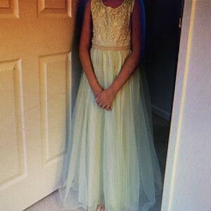 Elegant Light Green Gown